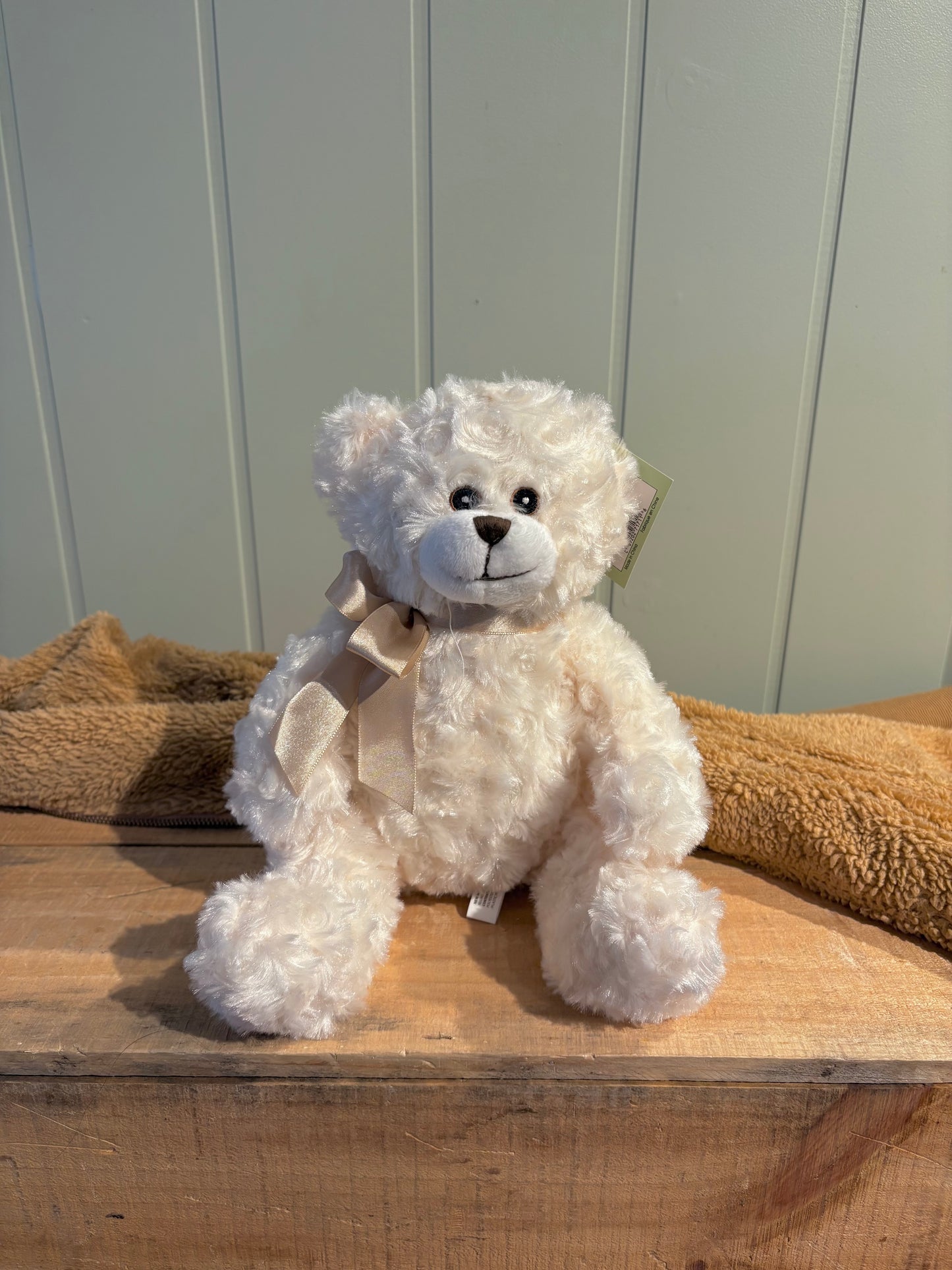 Charles the Teddy Bear