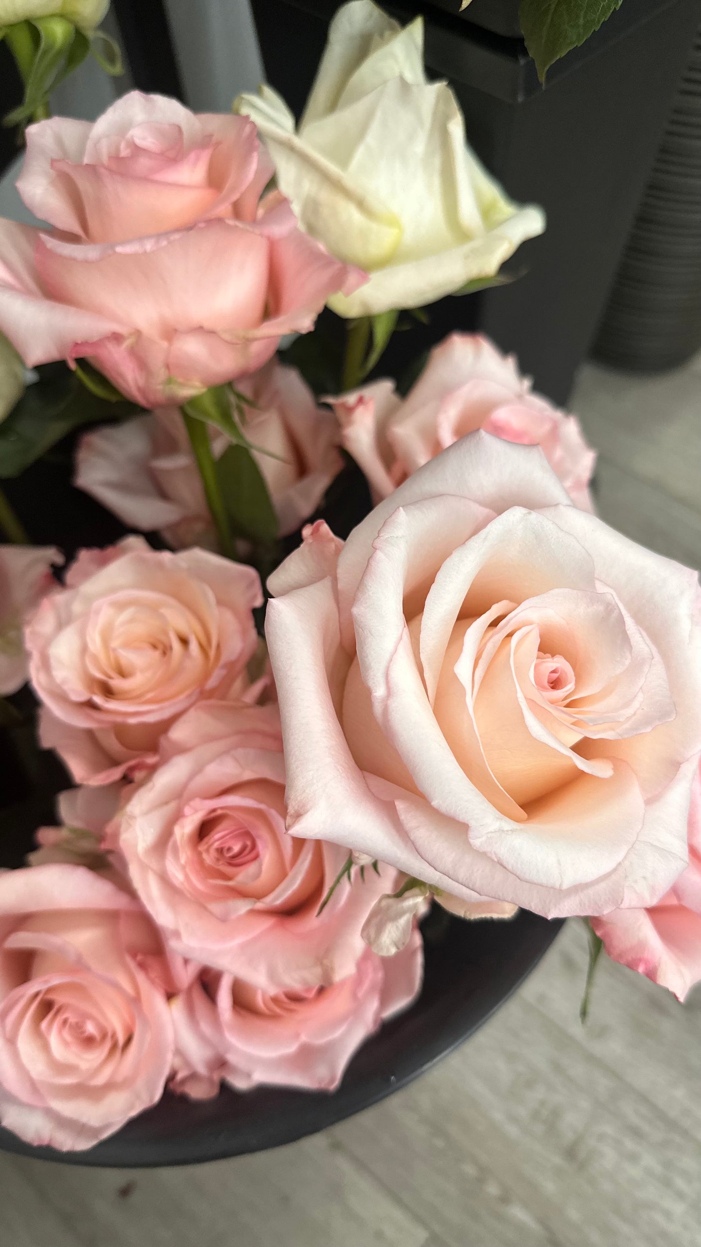 Graceful Elegance" – 12 Roses