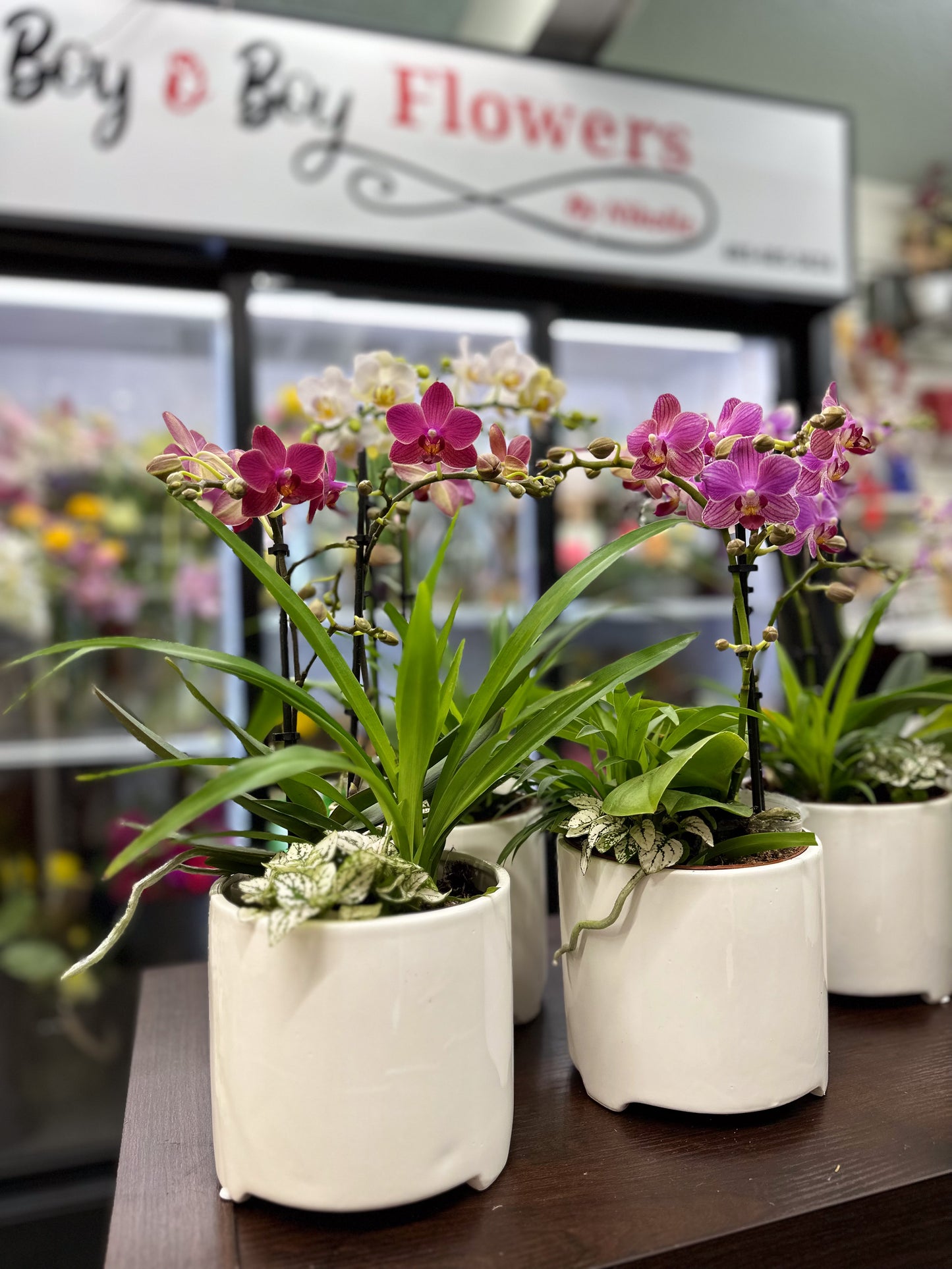 Orchid garden planter