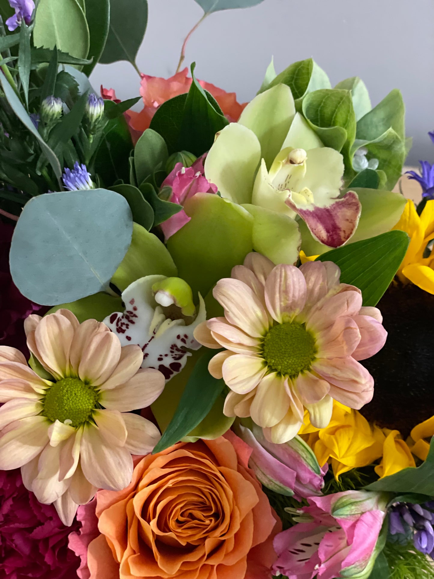 Energizing Sorbet Arrangement