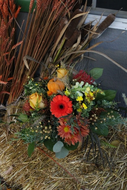 Autumn Fall Collection