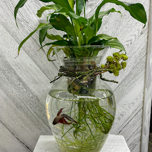 Beta-Ful Vase